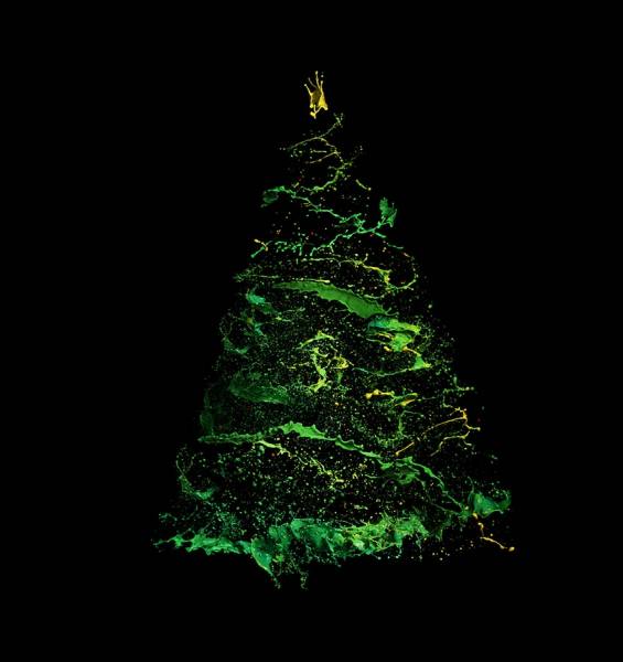 Photograph Jonathan Knowles Christmas on One Eyeland
